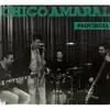 Chico Amaral - Província